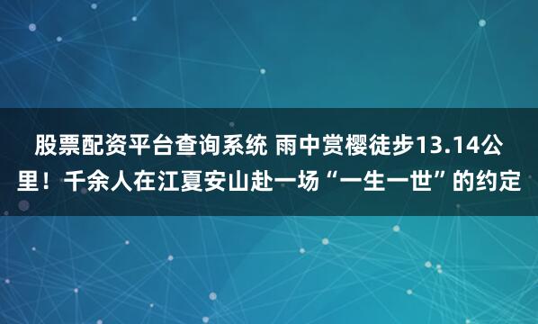 股票配资平台查询系统 雨中赏樱徒步13.14公里！千余人在江夏安山赴一场“一生一世”的约定